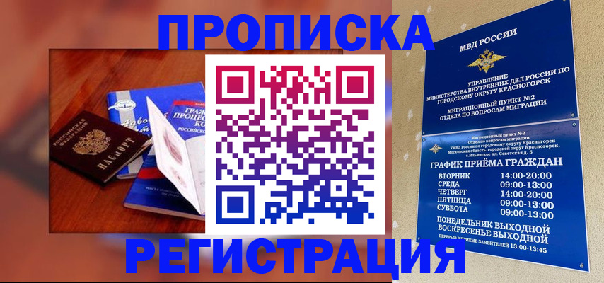 временная регистрация для школы в Елизово